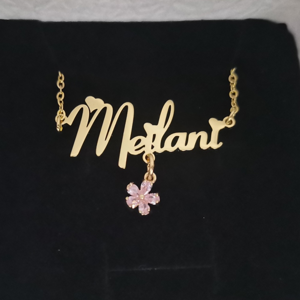 LeeChee Flower Zircon Small Pe - đánh giá và giá Custom Name Necklace Stainless Steel